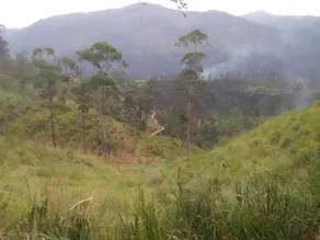 Ella Upper Hill - Image 5