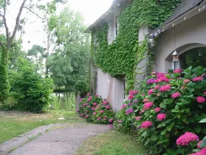 Domaine Des Etangs De Bois Robert - Image 5