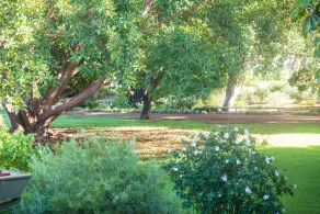 Foreshore Motor Inn - Image 3