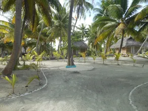 Pension Aotera - Image 5