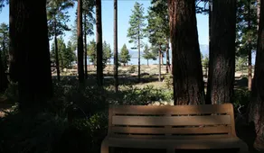 Rim Trail and Relax by Lake Tahoe Accommodations - Image 4