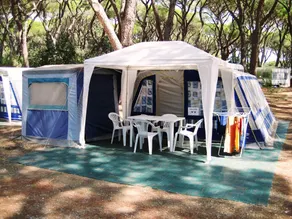 Salicamp - Image 3