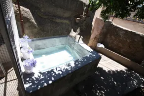 Villa Esporles Garden - Image 3