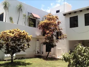 Suite Rosas - Image 4