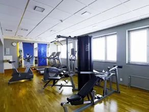 Scandic Ferrum - Image 2