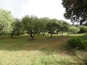 Les Bastides De L'Auviduery - Image 2