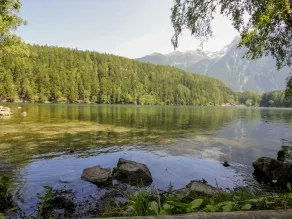 Bichleregg Sautens in Sautens - Image 5