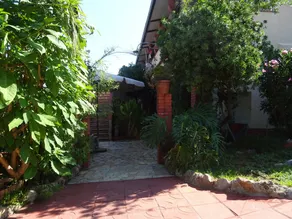 El Banano - Image 5