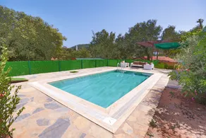 Tomato Bodrum - Image 2