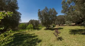 Villa Ricci - Image 2