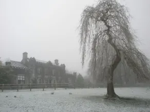 Newpark House - Image 2