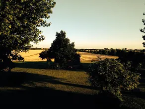 Antica Vigna - Image 2