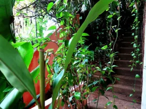 Para Ti Guest House - Image 2