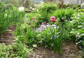 Gite De La Toucouero - Image 4