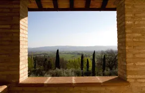 Villa Degli Ulivi - Image 4