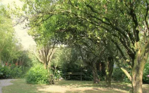 Casa Das Tres Aguias - Image 5