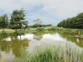 Pond View - Image 4