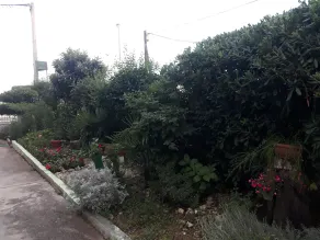 Green Hostel - Image 4