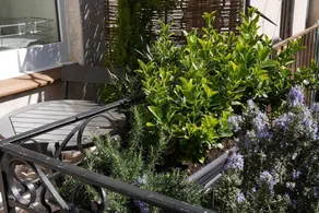 Une âme à Nîmes Côté Cour - Image 2