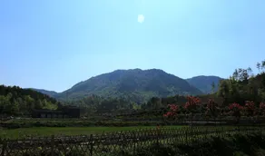 Narada Phoenix Valley Resort - Image 5