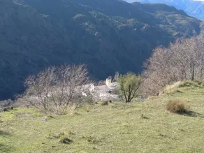 Castano Real - Image 3