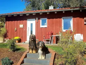 Blissful Holiday Home In	battenberg With Fenced Garden - Image 5