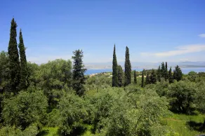 Villa Fedra - Image 3