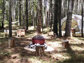 Tentrr - Pondwood Pines in Wonalancet - Image 3