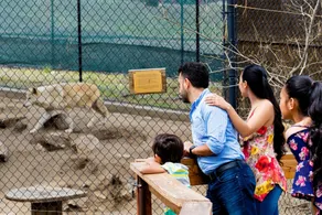 Bear Crossing - Walk to Slopes, Foosball Table, Barbecue - Image 3