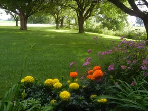 Duck Pond Bed & Breakfast Cottage - Image 3