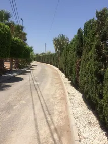 Villa With 5 Bedrooms in Torrellano, With Private Pool and Wifi - 4 km - Image 3