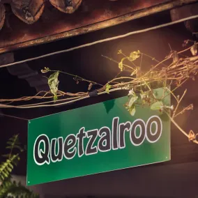 Quetzalroo - Image 3
