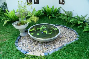 Suri Palm Villa - Image 2