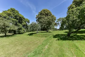Oakwood - Image 4