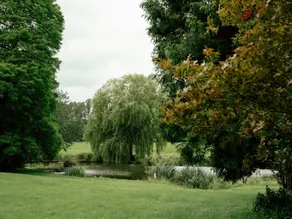 Gatton Manor Hotel and Golf Club - Image 5