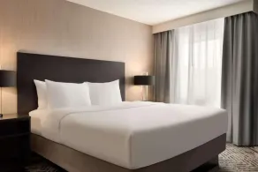 The Clover Hotel By  Ascend Hotel Collection - Image 4