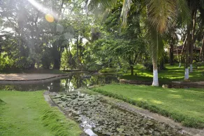 Kairali - The Ayurvedic Healing Village - Image 2