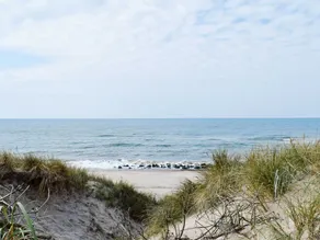 Cosy Holiday Home in Ulfborg Near Beach - Image 2
