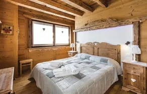 Pettirosso 1 - Image 4