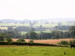 Hallbarns Bed & Breakfast - Image 3