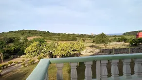 Villa Alfonsina - Image 3