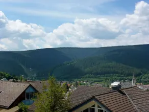 Blank Titisee-neustadt - Image 5