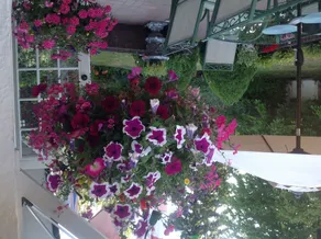La Rosetta B&B - Image 5