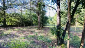 Large Beautiful Ranch Home with Games and Beautiful Scenery on 5 acres - Image 5