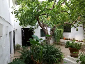 Las Jimenas - Image 4