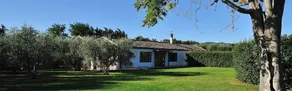 Lorto Di Lucania - Image 2
