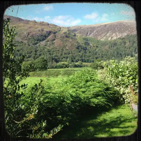 Dolffanog Fawr - Image 3