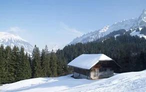 Gasthof Rosegg - Image 4