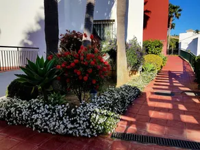 Las Brisas 33 - Image 4