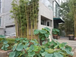 Yiming Shuju rural homestay in Jiaxian County - Image 3